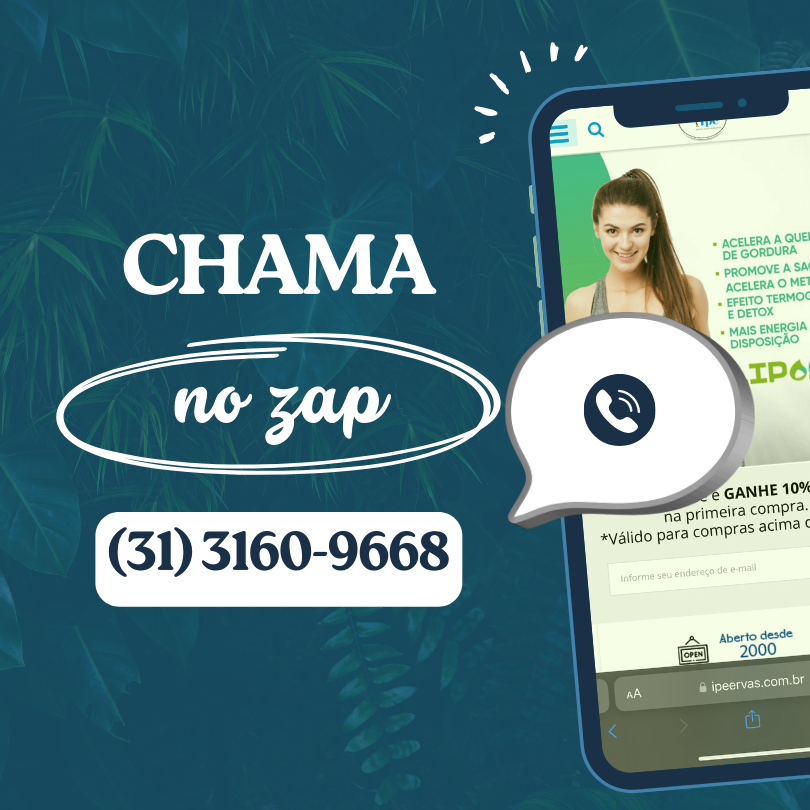 Topo Responsivo [WhatsApp]