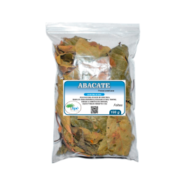 Abacateiro (Persea americana - Folha) - 100g