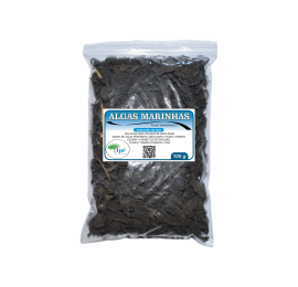 Algas Marinhas ( Fucus vesiculosus L. - Alga)