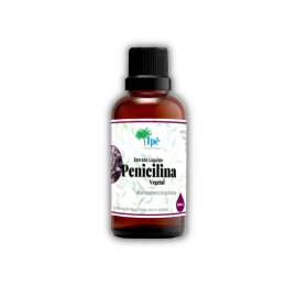 Extrato Líquido Penicilina Vegetal 30ml - Alternanthera brasiliana L.
