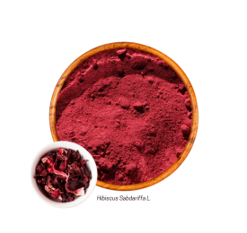 Hibisco (Hibiscus sabdariffa L. - Pó) 20g