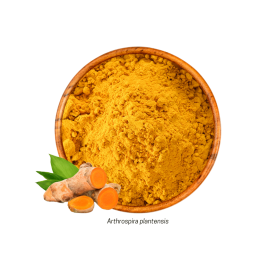 Açafrão da Terra (Curcuma longa - Pó) 100g