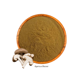 Cogumelo do Sol (Agaricus blazsei - Pó) 50g