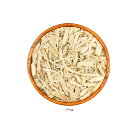 Urtiga (Urtica - Casca) 20g