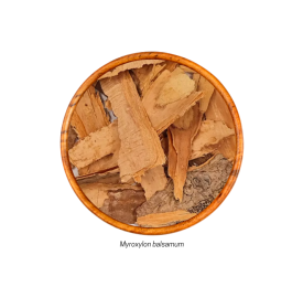 Bálsamo (Myroxylon balsamum - Casca) 20g