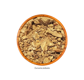 Zedoária (Curcuma zedoaria - Raíz) 20g