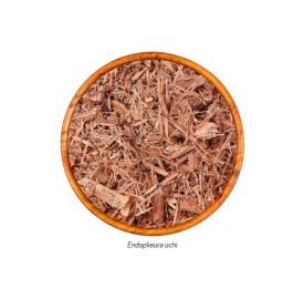 Uxi Amarelo (Endoplieura uchi - Casca) 15g