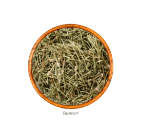 Cavalinha (Equisetum - Folha) 100g