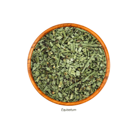 Cavalinha Cultivada Tipo I (Equisetum - Folha) 30g