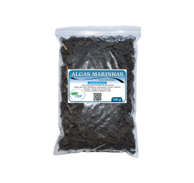 Algas Marinhas ( Fucus vesiculosus L. - Alga) - 100g