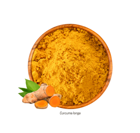 Cúrcuma (Curcuma longa - Pó) 100g
