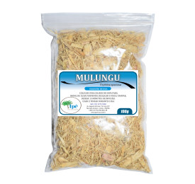 Mulungu ( Erythrina mulungu - Casca Rasurada) - 100g