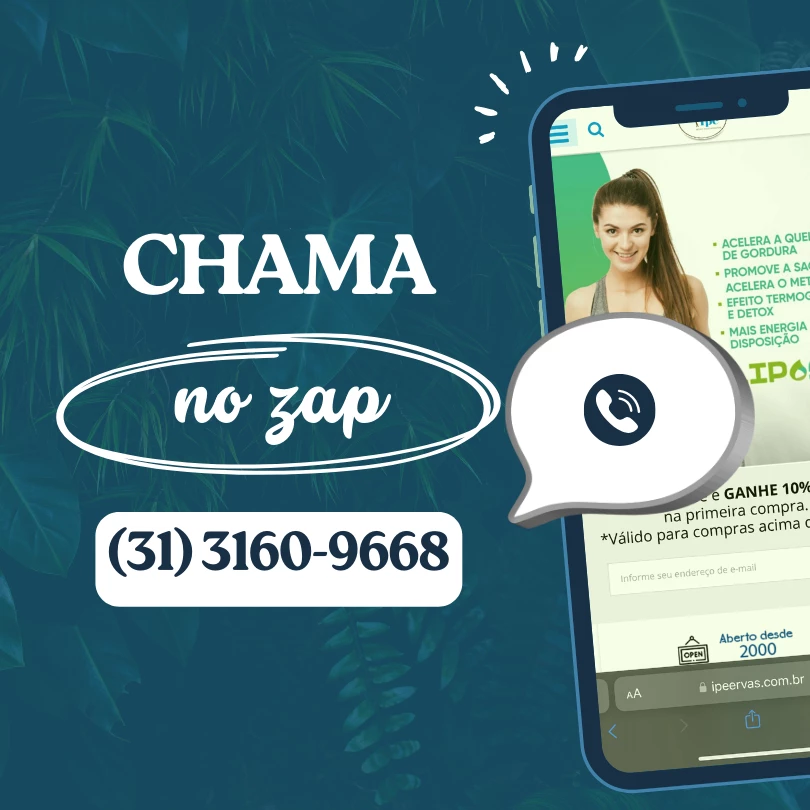 Topo Responsivo [WhatsApp]
