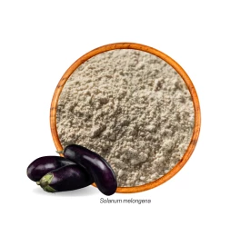 Farinha de Berinjela (Solanum melongena) 100g