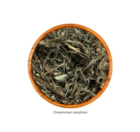 Cânfora (Cinnamomum camphora - Folha) 15gr