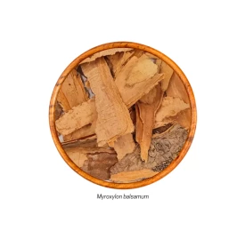 Bálsamo (Myroxylon balsamum - Casca) 20g