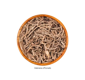 Valeriana (Valeriana officinalis - Raiz) 15g