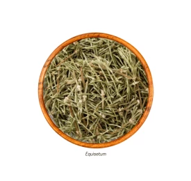 Cavalinha (Equisetum - Folha) 25g