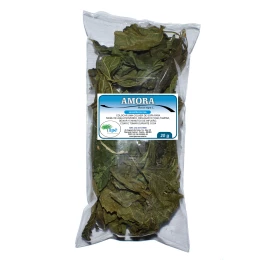 Amora ( Morus nigra L. - Folhas) - 20g Para Chá